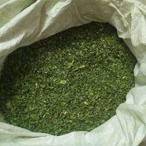 Hojas de Moringa Cultivadas Orgánicamente, Hojas de Árbol Secas Puras para Producción de Té, Venta al Por Mayor, Producto Saludable Altamente Nutritivo - Product Image 2