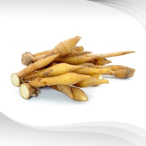 สารสกัดจากรากนิ้วธรรมชาติสำหรับอาหารพร้อมบริการ OEM - Product Image 1