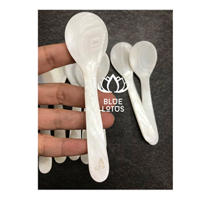 Cuchara de Nácar Ecológica, Segura y de Calidad Confiable 2026, Utensilio de Concha Pura Ideal para Degustación de Postres y Servir Huevos, Oferta al por Mayor - Product Image 1