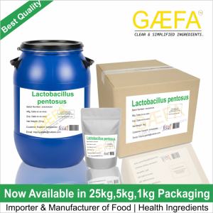 Poudre de Lactobacillus Pentosus, lieu d'origine Inde - Product Image 4