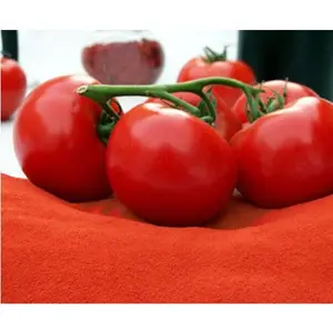 Polvo de Tomate Seco, Concentrado, Rico en Nutrientes, Sabor Intenso y Picante para Salsas y Sopas, Larga Duración, *Solanum lycopersicum*, *Solanaceae* - Product Image 1