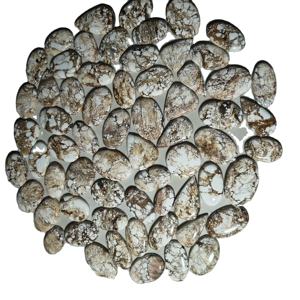 Turquesa Natural de Calidad AAA+ en Cabujón, Tamaño Libre de 20-45 mm, 8-12 g, Piedra Preciosa Suelta para Joyería Curativa - Product Image 4