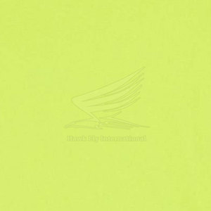 T-shirts décontractés pour femmes, 100% coton, tissu en toile, respirant, haute qualité, dernier design - Product Image 6