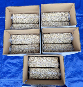 Offre Spéciale 2026 SANTIGO Noix de cajou brutes comestibles WW180 WW240 Qualité Supérieure 2 Tonnes Prêtes à l'Expédition - Product Image 1