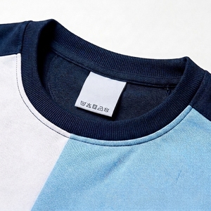 Custom Front Logo 350gsm <b>Lined</b> 100% Polyester <b>Fleece</b> O-Neck Regular Fit Windproof Breathable <b>Sweatshirt</b> Plain Dyed Spring Men - Product Image 4