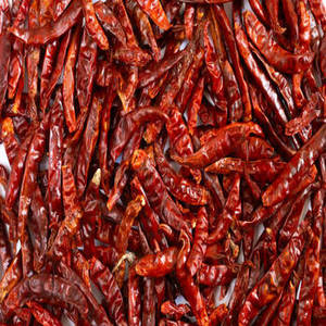 Pimientos Rojos Enteros Indios de Primera Calidad de Nueva Temporada para Mercados Internacionales con Calidad Cuidadosamente Seleccionada y Embalaje Eficiente a Granel - Product Image 2