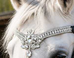 Diadema de Cristal de Lujo al por Mayor con Diamantes Brillantes Personalizados para Caballo, Accesorios de Brida Ecuestre - Product Image 1
