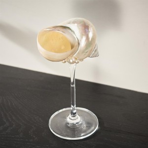 Verre à vin élégant en forme de coquillage, une addition à toute collection de verrerie, inspiré par la beauté naturelle de l'océan. - Product Image 4