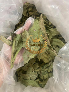 Quantité en vrac de feuilles de goyave séchées pour le séchage de tisane à la machine Qualité supérieure du Vietnam - Product Image 2