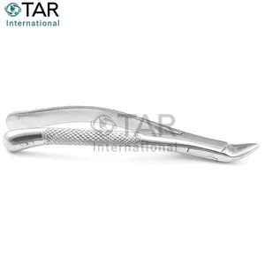 Pinzas de Extracción Dental Universales 150, Pinzas para Incisivos Superiores, Caninos, Bicáninos, Raíces, Acero Inoxidable, Instrumentos Médicos para Cirugía Oral - Product Image 2