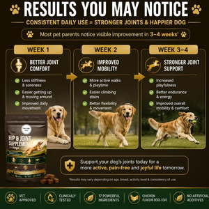 Complément Articulaire pour Chiens OEM ODM : Glucosamine, Chondroïtine, MSM – Friandises Molles Riches en Protéines pour la Mobilité des Chiens et Chats Âgés - Product Image 3