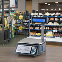 2026 NIEUW Model Rongta RLS1000 15KG Etikettenweegschaal LCD Etiketprinter Weegschaal OEM Aanpasbaar OIML/NTEP/CE Gecertificeerd 1 Jaar Garantie
