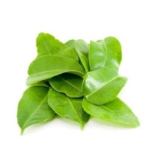 ใบมะนาวแช่แข็ง สำหรับส่งออก ใบมะนาวสดแช่แข็ง 500 กรัม - Product Image 1