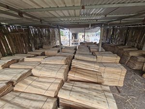 Chapa de Madera de Alta Calidad Cortada Rotacionalmente, Hecha en Vietnam a Precio Competitivo - Chapa de Madera de Ingeniería Vietnamita - Product Image 5