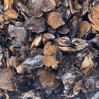 Huile de Cardanol Naturelle Brute de Haute Qualité Kim Minh 14% d'humidité - CNSL - Résine Liquide de Coque de Noix de Cajou pour Matériaux de Friction Vietnam