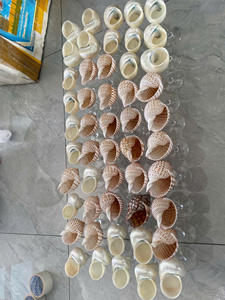 ถ้วยเปลือกหอยทะเลธรรมชาติจากเวียดนาม เหมาะสำหรับการตกแต่งบ้าน ร้านขายของที่ระลึก โรงแรม โครงการธีมชายหาด - Product Image 6