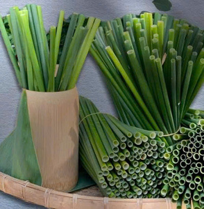 Eco-Friendly Biodegradable Disposable Grass Straw <b>Drinkware</b> <b>Accessories</b> Custom Logo Sustainable Bar Essentials for USA EU Market - Product Image 2