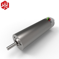 Motor Micro BLDC de Imán Permanente con Controlador Integrado de 24v para Robots Humanoides