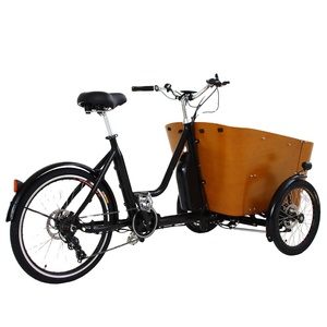 Bicicleta Eléctrica de Carga de 3 Ruedas con Motor Central DAPU de 250w, Estilo Europeo, <span class=keywords><strong>Nueva</strong></span> Llegada, <span class=keywords><strong>Trimoto</strong></span> Eléctrica para Carga Familiar - Product Image 1