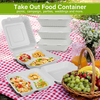 Boîte alimentaire jetable pour plats à emporter, vente en gros au Pakistan, haute qualité, OEM ODM, boîte alimentaire jetable anti-fuite