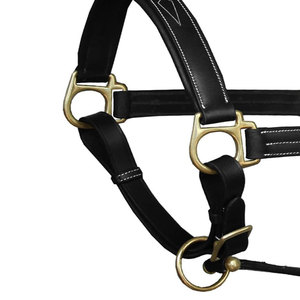Cabestro para Caballo de Diseño Personalizado, de Cuero, Ligero y Transpirable, a Precio Económico y Alta Calidad - Product Image 2