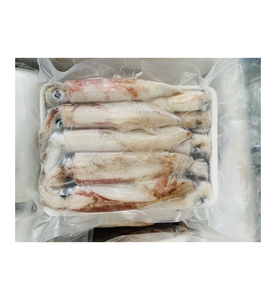 Calamar Congelado de Primera Calidad al por Mayor para Procesamiento de Mariscos y Servicios de Alimentación - Product Image 1