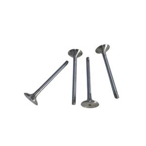 อะไหล่เครื่องยนต์ดีเซลวาล์วสำหรับอุปกรณ์ก่อสร้าง รุ่น 3066 - Product Image 1