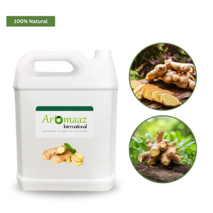 Hydrolat de rhizome de gingembre, fabricant, pour la peau, les cheveux et les diffuseurs, 100% pur et naturel, eau florale de gingembre liquide, distillée à la vapeur, OBM 500mL - Product Image 1