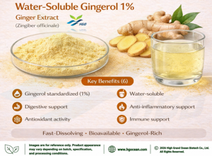 Extrait de gingembre pur naturel HGO (qualité alimentaire) soluble dans l'eau, Gingérol 1% (Extrait standardisé) – Approvisionnement direct usine - Product Image 4