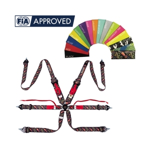 Harnais de course 6 points SPORT PLUS 5 TBRACING avec logo couleur personnalisé FIA 8853 2016 – Fournisseur en gros de ceintures de sécurité pour sports automobiles - Product Image 1