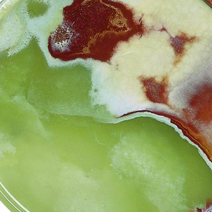 Juego de 6 Posavasos Personalizados con Soporte, Posavasos de Piedra Natural, Color Verde Lujoso, Mármol Violeta, Decoración para el Hogar - Product Image 6