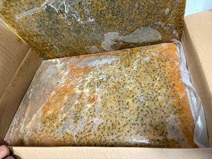 Exportateur en gros de pulpe de fruit de la passion congelée en provenance du Vietnam - Product Image 5