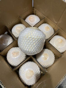 Noix de coco jeune fraîche d'origine vietnamienne utilisant du matériau naturel de la coque de noix de coco conçue pour la préparation de boissons Acheteurs en gros - Product Image 2