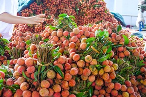 Proveedor de Lichi Enlatado a Granel – Lichi Dulce Pelado en Lata, Fruta de Lichi Enlatada para Supermercados y Servicios de Alimentación, Más Vendido - Product Image 2