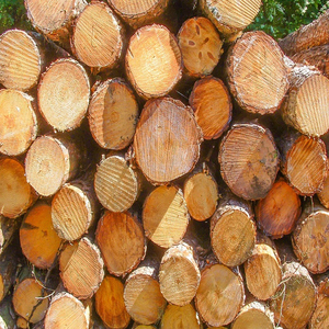Bûches de bois de hêtre, de sapin et de pin, qualité A, longueur 112 cm, diamètre 100 mm, stockage au frais et à sec - Product Image 6