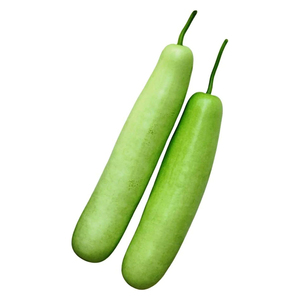 Lauki pur et frais, courge tendre, légume de ferme, pour la vente en gros, la restauration et la cuisine, neuf - Product Image 3