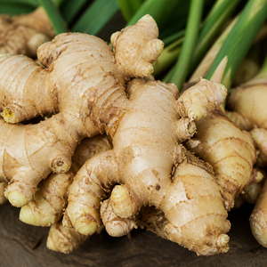 ขิงสดเจียไล เวียดนาม |   ขิงหอมและเผ็ดสำหรับส่งออก - Product Image 6