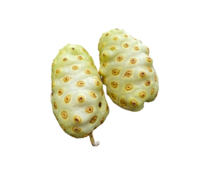 Fruits de Noni séchés de qualité supérieure – Noni naturel, propre, séché au soleil et sans produits chimiques // Mr.Tom - Product Image 1
