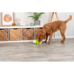 Jouet à mâcher pour animaux de compagnie en forme de chou vert clair 23 cm - Product Image 5