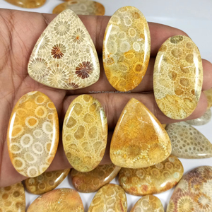 Coral fossile naturel, pierre semi-précieuse, cabochon, en vrac, pour la fabrication de bijoux, vente en gros - Product Image 5