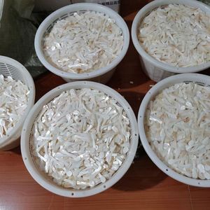 Handmade <b>Shell</b> Spoon Eco Friendly Tableware Natural Mother of Pearl Spoon Sustainable Seafood Spoon Bulk Supplier Wholesale - Product Image 5