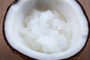 NATURAL RAW COCONUT <b>JELLY</b> CUT INTO CUBES - EXPORT STANDARD FACTORY PRICE - Product Image 1