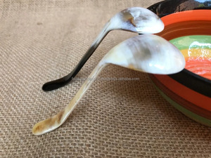 Cuchara de cuerno de búfalo de diseño simple Mini mango Color de cuerno natural Pieza de calidad superior Cuchara de especias de búfalo de Falak World Export - Product Image 4