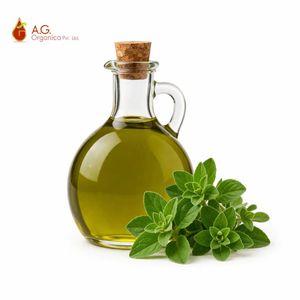 Aceite Esencial de Orégano Orgánico Natural, Precio al por Mayor Global, Organum Vulgare, OEM, ODM, Ingrediente Personalizable - Product Image 2