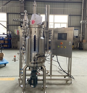 Bailun ถังหมักเครื่องปฏิกรณ์ชีวภาพแบบกลไกด้านล่าง30L ช่วยเพิ่มระดับออกซิเจนที่ละลายน้ำ BLBIO-SJB - Product Image 4