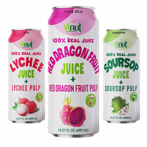 Bebida de jugo con pulpa 490ml Variedad de sabores, sin azúcar, Etiqueta Privada, OEM/ODM, precio de fábrica, muestra gratis - Product Image 1