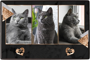 Urna Funeraria de Madera para Cenizas de Mascotas, Urnas de Cremación de Madera para Cenizas de Perros y Gatos, Urnas de Madera de Palisandro a Bajo Precio - Product Image 4