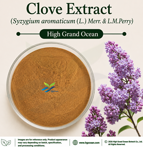 Extrait de clou de girofle (Syzygium aromaticum (L.) Merr.) fourni directement par l'usine HGO & L.M.Perry) Qualité alimentaire 4:1 5:1 10:1 20:1 100:1 200:1 - Product Image 1