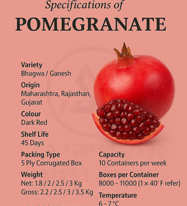 Granadas Frescas de Primera Calidad, Cosechadas en Granja, Fruta Roja Jugosa, Suministro al por Mayor para Mercados Minoristas y Consumo Diario, Ocean Link - Product Image 4