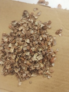 Peau de haricot noir Desi séchée 100% naturelle pour l'alimentation des bovins et du bétail, paquet de 50 kg - Product Image 6